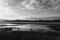 Airds Bay